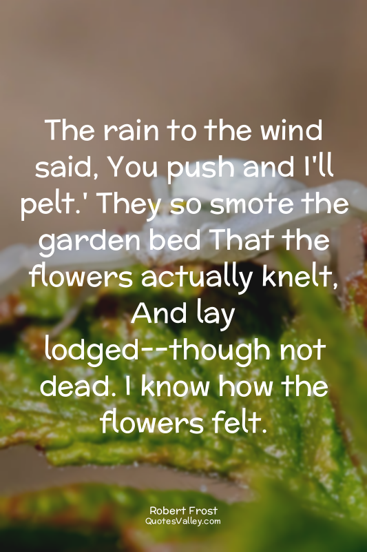 The rain to the wind said, You push and I'll pelt.' They so smote the garden bed...