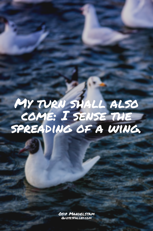 My turn shall also come: I sense the spreading of a wing.