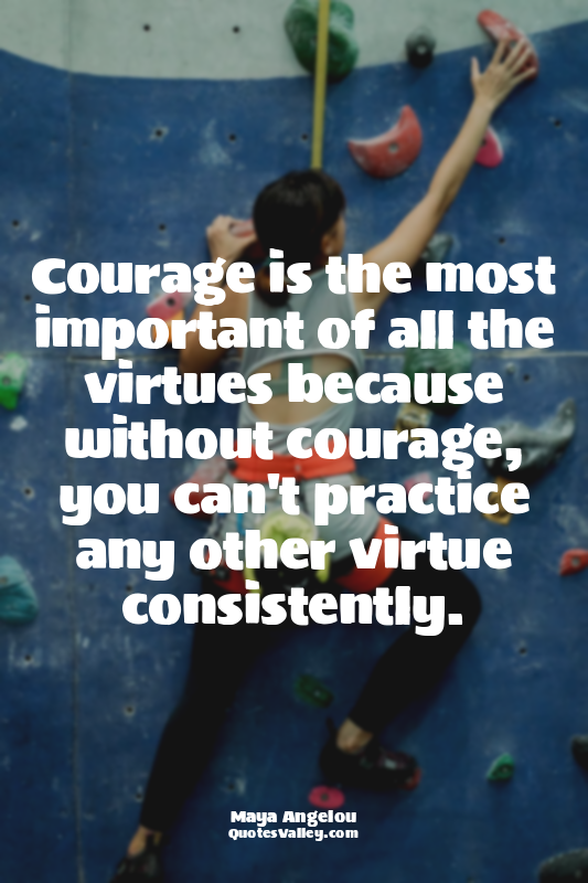 Courage is the most important of all the virtues because without courage, you ca...