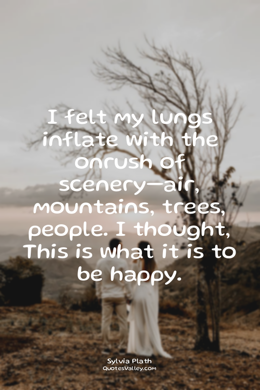 I felt my lungs inflate with the onrush of scenery—air, mountains, trees, people...