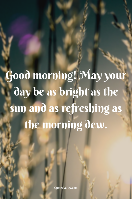 Good morning! May your day be as bright as the sun and as refreshing as the morn...